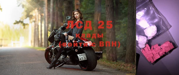 крисы Алзамай