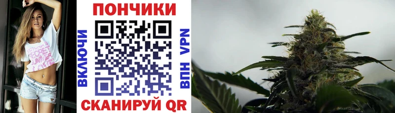 купить Знаменск Бошки Шишки план